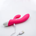 Galaxy Vibe Rabbit Vibrator (pink) by Easytoys